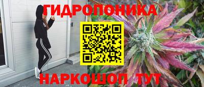 шишки Краснокаменск